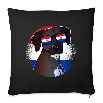 Paraguay - Sofa pillowcase 17,3'' x 17,3'' (45 x 45 cm) - black - Front