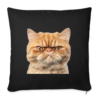 Grumpy Ginger Cat Studio Portrait - Sofa pillowcase 17,3'' x 17,3'' (45 x 45 cm) - black - Front