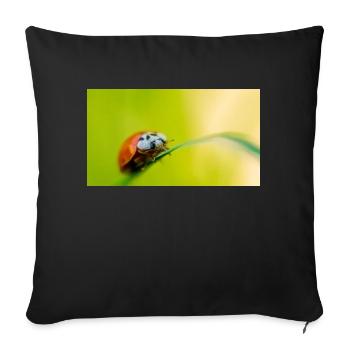 ladybug - Sofa pillowcase 17,3'' x 17,3'' (45 x 45 cm) - black - Front