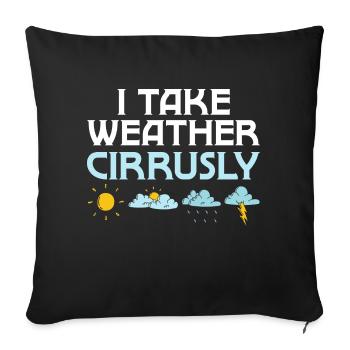 I Take Weather Cirrusly Meteorologist Meteorology - Sofa pillowcase 17,3'' x 17,3'' (45 x 45 cm) - black - Front