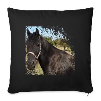 Who does not want to ride on this horse? - Sofa pillowcase 17,3'' x 17,3'' (45 x 45 cm) - black - Front