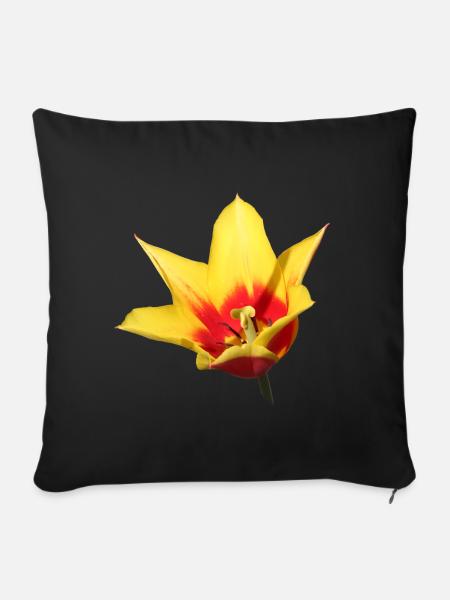 Tulpe – Frühlingserwachen in Farbe - Sofakissenbezug 45 x 45 cm - Schwarz