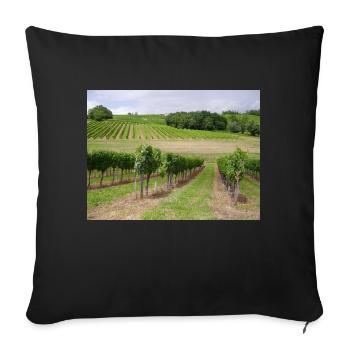 Weinberge - Sofa pillowcase 17,3'' x 17,3'' (45 x 45 cm) - black - Front