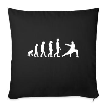 Kung fu evolution - Sofa pillowcase 17,3'' x 17,3'' (45 x 45 cm) - black - Front