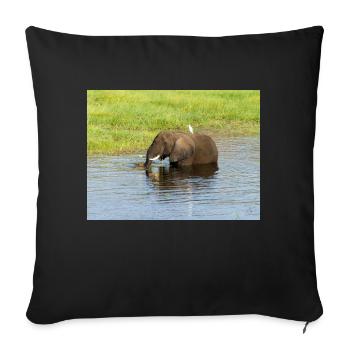 Landschaft im Chobe-Nationalpark auf der Insel Sedudu - Sofakissenbezug 45 x 45 cm - Schwarz - Vorne
