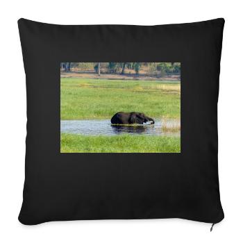Landschaft im Chobe-Nationalpark auf der Insel Sedudu - Sofakissenbezug 45 x 45 cm - Schwarz - Vorne