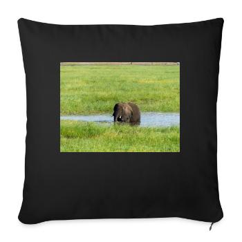 Landscape in Chobe National Park on Sedudu - Sofa pillowcase 17,3'' x 17,3'' (45 x 45 cm) - black - Front