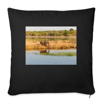 Paysage dans le parc national de Chobe sur l’île de Sedudu - Housse de coussin décorative 45 x 45 cm - noir - Devant