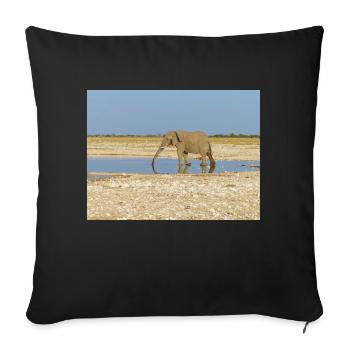 éléphant et paysage dans un parc national d’Etosha - Housse de coussin décorative 45 x 45 cm - noir - Devant