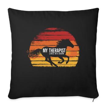 My therapist lives in the stable - Sofa pillowcase 17,3'' x 17,3'' (45 x 45 cm) - black - Front