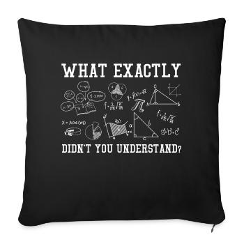 What Exactly Didn't You Understand - Sofa pillowcase 17,3'' x 17,3'' (45 x 45 cm) - black - Front