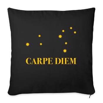 Carpe Diem use the day constellation Leo horoscope - Sofa pillowcase 17,3'' x 17,3'' (45 x 45 cm) - black - Front