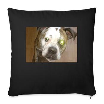 Cute dog with ball - Sofa pillowcase 17,3'' x 17,3'' (45 x 45 cm) - black - Front