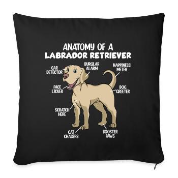 Anatomie d’un Labrador Retriever - Housse de coussin décorative 45 x 45 cm - noir - Devant