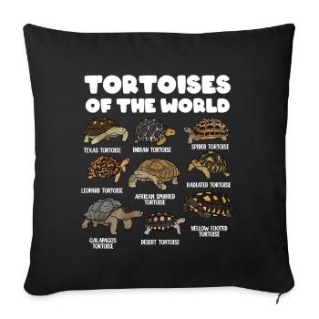 Tortues du monde - Housse de coussin décorative 45 x 45 cm - noir - Devant