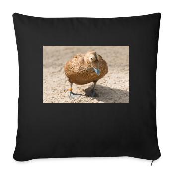 Eider Duck (Eiderente, Somateria mollissima) - Sofakissenbezug 45 x 45 cm - Schwarz - Vorne