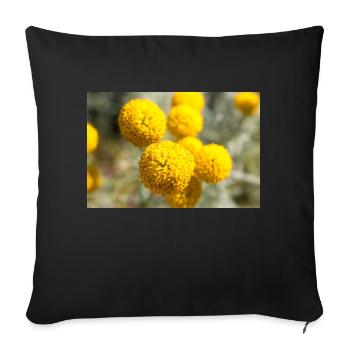 Lavender cotton or gray santolina holy herb - Sofa pillowcase 17,3'' x 17,3'' (45 x 45 cm) - black - Front
