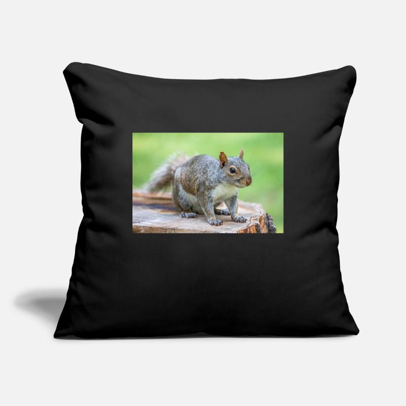 Écureuil gris Grauhörnchen Sciurus carolinensis Housse de coussin décorative 45 x 45 cm