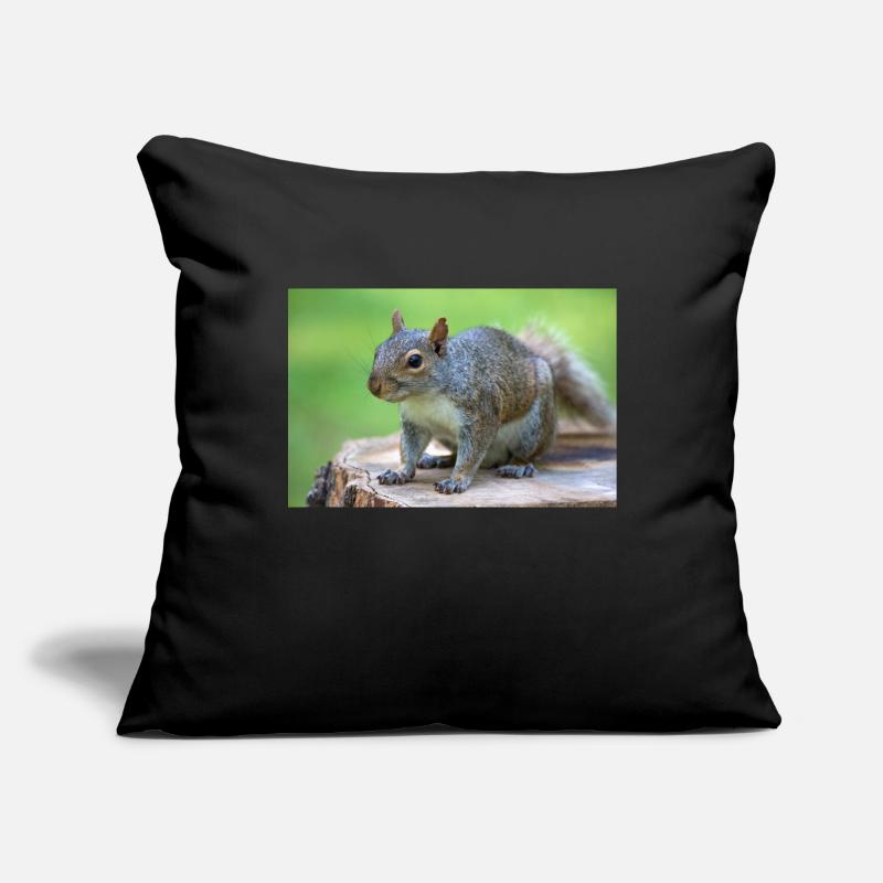 Écureuil gris Grauhörnchen Sciurus carolinensis Housse de coussin décorative 45 x 45 cm