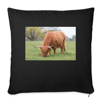 Un bovin des Highlands dans les Highlands écossais - Housse de coussin décorative 45 x 45 cm - noir - Devant