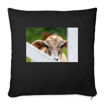 Kleines Kalb mit süßem Aussehen - Sofakissenbezug 45 x 45 cm - Schwarz - Vorne
