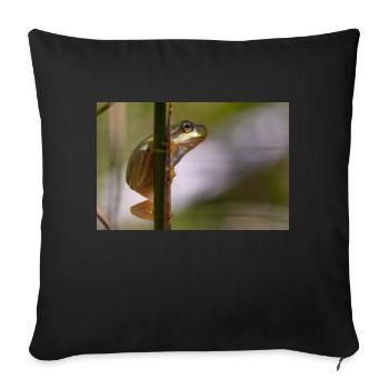 Tree frog - Sofa pillowcase 17,3'' x 17,3'' (45 x 45 cm) - black - Front