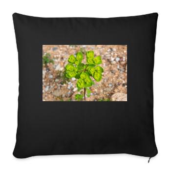 blooming colorful Wolfsmilch (Euphorbia) flower - Sofa pillowcase 17,3'' x 17,3'' (45 x 45 cm) - black - Front