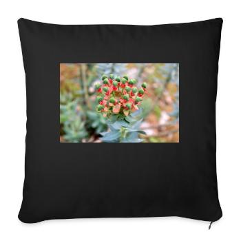 blooming colorful Wolfsmilch (Euphorbia) flower - Sofa pillowcase 17,3'' x 17,3'' (45 x 45 cm) - black - Front