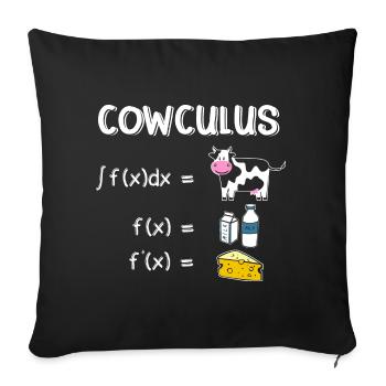 Maths drôles Proverbes Prof de maths - Housse de coussin décorative 45 x 45 cm - noir - Devant