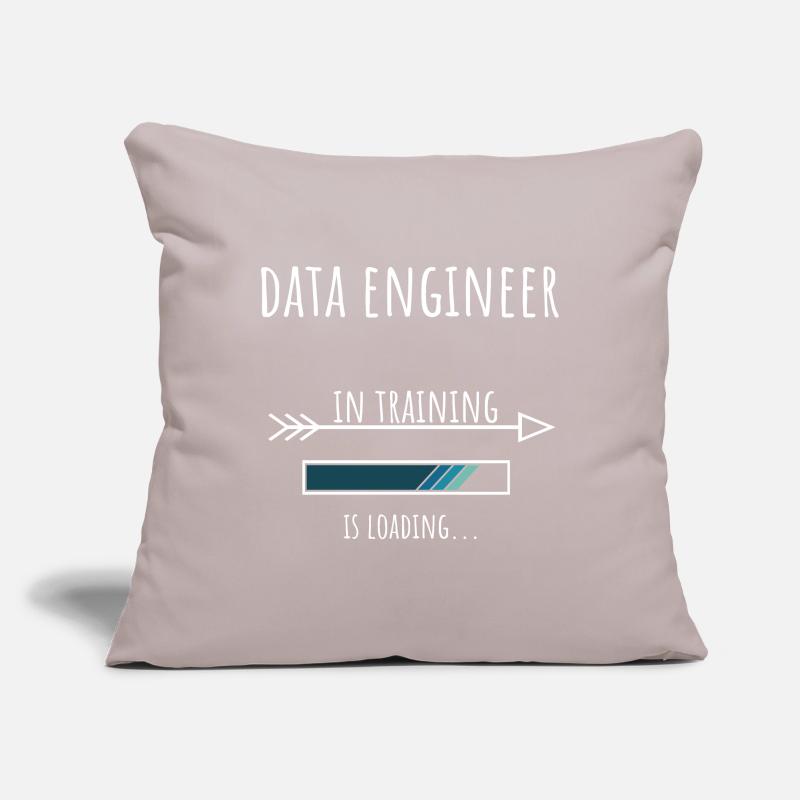 Gift Profession Training Data Engineer Sofa pillowcase 17,3'' x 17,3'' (45 x 45 cm)