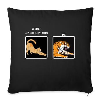Np Nurse Practitioner Preceptor Funny meme gifts - Sofa pillowcase 17,3'' x 17,3'' (45 x 45 cm) - black - Front