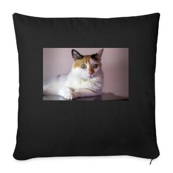 le chat au doux regard - Housse de coussin décorative 45 x 45 cm - noir - Devant