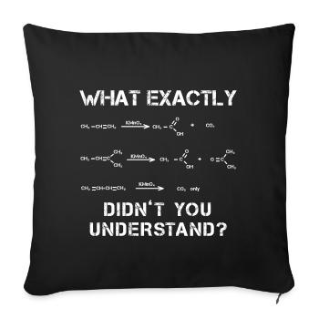 Chemist genius reaction equation - Sofa pillowcase 17,3'' x 17,3'' (45 x 45 cm) - black - Front