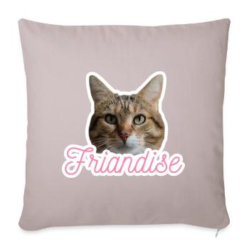 Missty Treat - Sofa pillowcase 17,3'' x 17,3'' (45 x 45 cm) - light taupe - Front