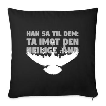 Receive Comforter - Norwegian - Sofa pillowcase 17,3'' x 17,3'' (45 x 45 cm) - black - Front