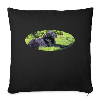 labrador - Sofa pillowcase 17,3'' x 17,3'' (45 x 45 cm) - black - Front
