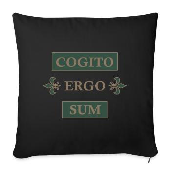 Cogito ergo sum - Sofa pillowcase 17,3'' x 17,3'' (45 x 45 cm) - black - Front