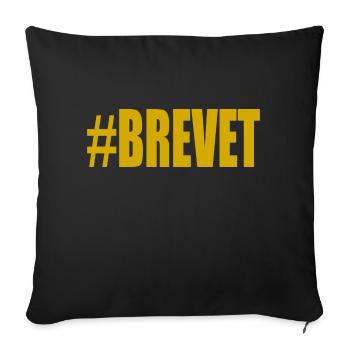 FERRY. BACCALAUREAT. PATENT. DNB. EXAMINATION. WELL DONE - Sofa pillowcase 17,3'' x 17,3'' (45 x 45 cm) - black - Front