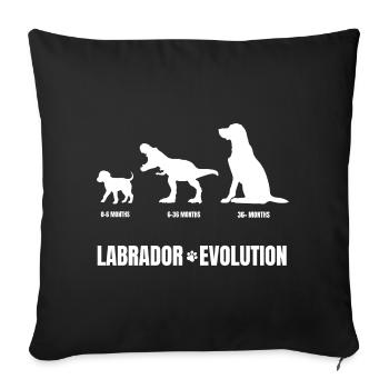 Labrador chiot chien dressage puberté drôle wau - Housse de coussin décorative 45 x 45 cm - noir - Devant