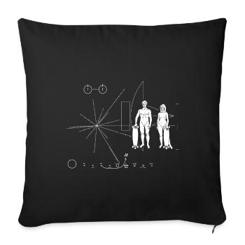 Skateboarder Pioneer plate - Sofa pillowcase 17,3'' x 17,3'' (45 x 45 cm) - black - Front