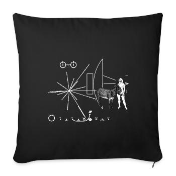 Pioneer Donkey Plate - Sofa pillowcase 17,3'' x 17,3'' (45 x 45 cm) - black - Front