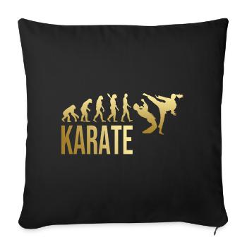 Evolution Karate - Sofakissenbezug 45 x 45 cm - Schwarz - Vorne