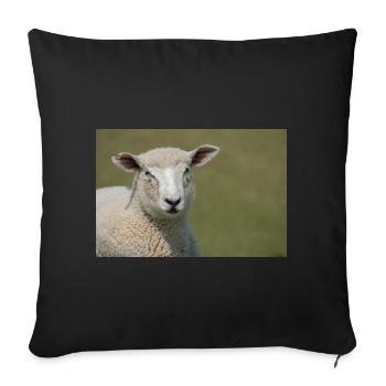 Ein Schaf auf einem Deich Norddeutschland Poster - Sofakissenbezug 45 x 45 cm - Schwarz - Vorne