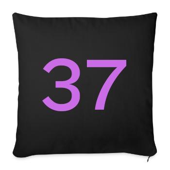 37 - Sofa pillowcase 17,3'' x 17,3'' (45 x 45 cm) - black - Front
