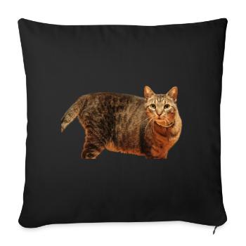 Cat Kitten - Sofa pillowcase 17,3'' x 17,3'' (45 x 45 cm) - black - Front