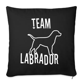 Team Labrador dog - Sofa pillowcase 17,3'' x 17,3'' (45 x 45 cm) - black - Front