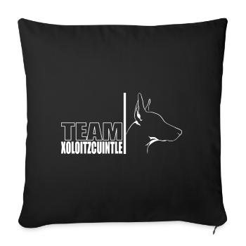 TEAM Xoloitzcuintle Dog Dog Wilsigns - Sofa pillowcase 17,3'' x 17,3'' (45 x 45 cm) - black - Front