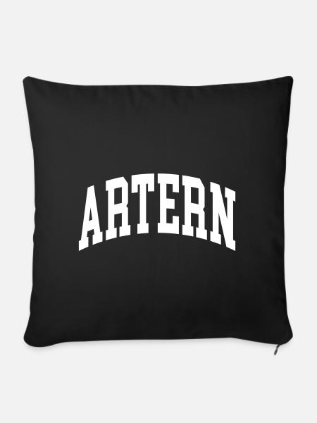 Artern - Sofakissenbezug 45 x 45 cm - Schwarz