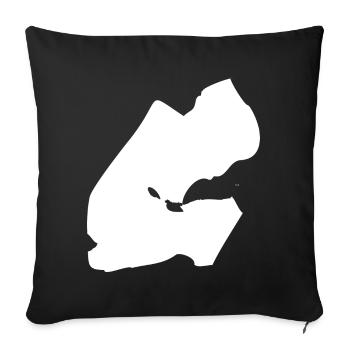 Djibouti map flag - Sofa pillowcase 17,3'' x 17,3'' (45 x 45 cm) - black - Front