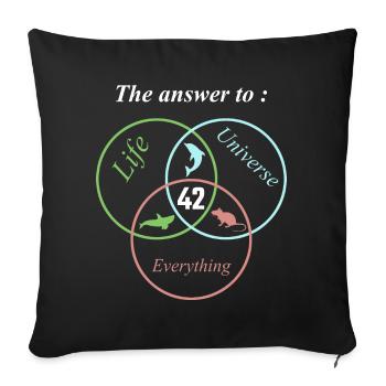Les 42 réponses à la vie, à l’univers, à tout, à la science - Housse de coussin décorative 45 x 45 cm - noir - Devant